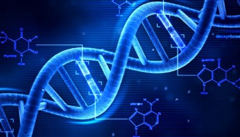 Nous sommes à l’aube d’une révolution de l’édition de gènes, sommes-nous prêts ?